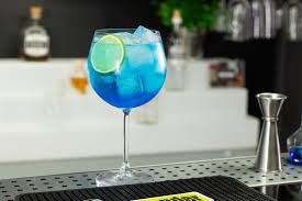GIN TÔNICA